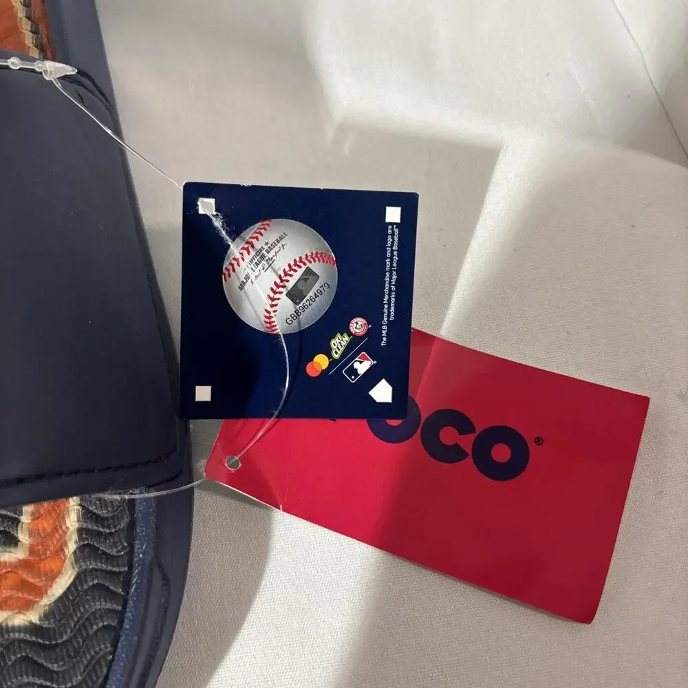 Foco houston astros